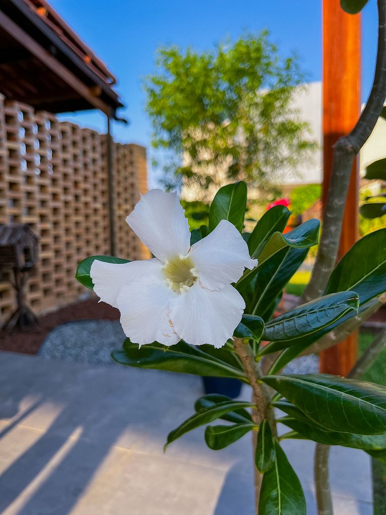 Casa de praia em Ipioca com piscina e área gourmet